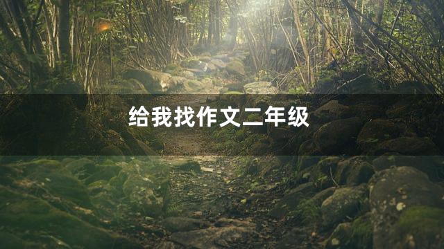 给我找作文二年级