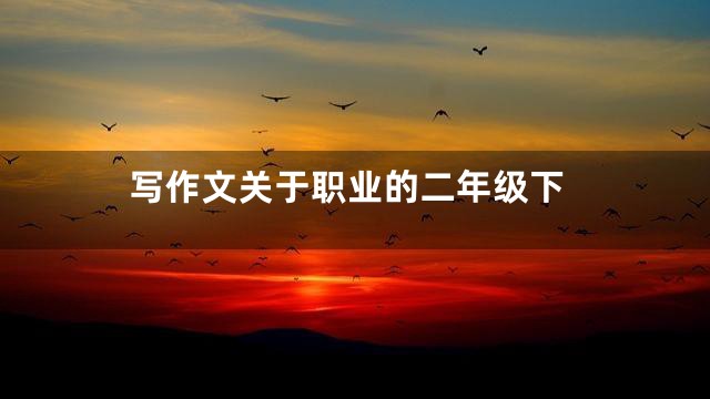 写作文关于职业的二年级下