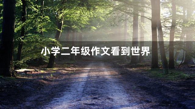 小学二年级作文看到世界