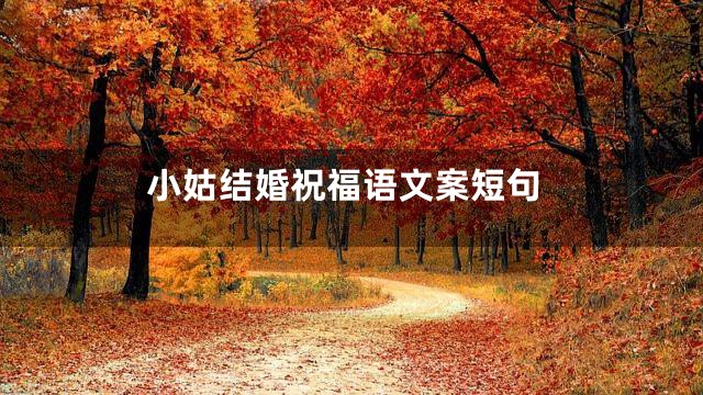 小姑结婚祝福语文案短句