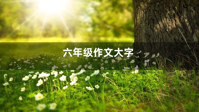 六年级作文大字