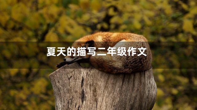 夏天的描写二年级作文