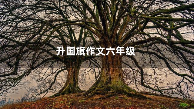 升国旗作文六年级