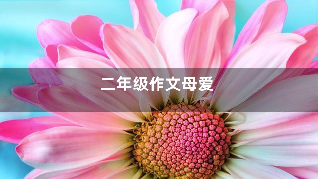 二年级作文母爱