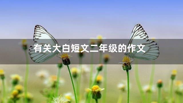 有关大白短文二年级的作文