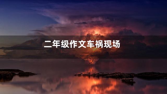 二年级作文车祸现场
