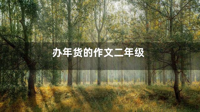 办年货的作文二年级