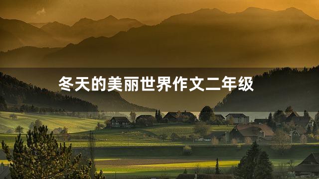 冬天的美丽世界作文二年级