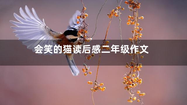 会笑的猫读后感二年级作文