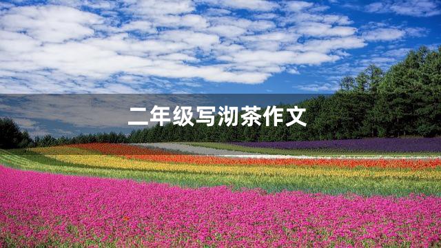 二年级写沏茶作文