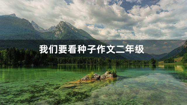 我们要看种子作文二年级