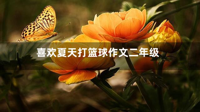 喜欢夏天打篮球作文二年级
