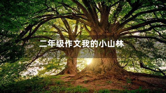 二年级作文我的小山林