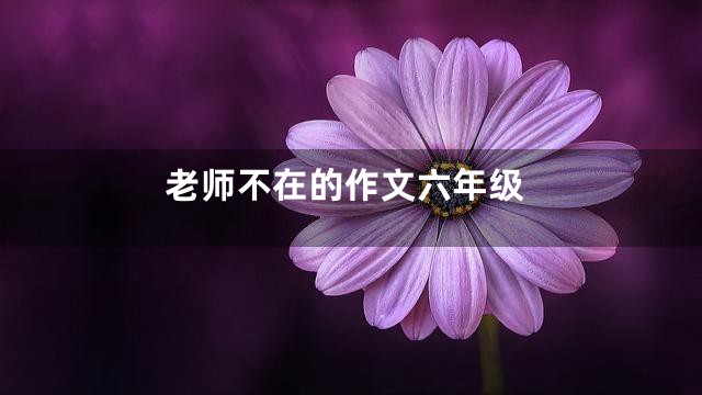 老师不在的作文六年级