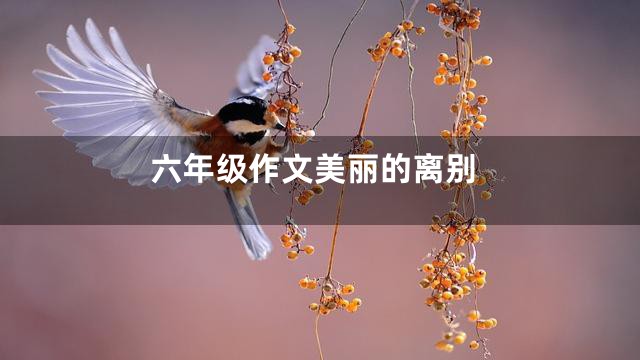 六年级作文美丽的离别