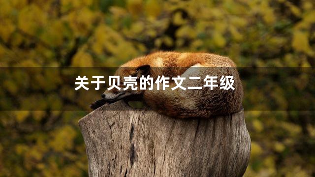 关于贝壳的作文二年级