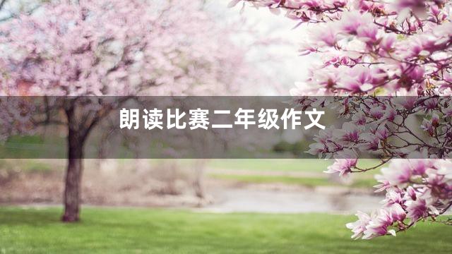 朗读比赛二年级作文
