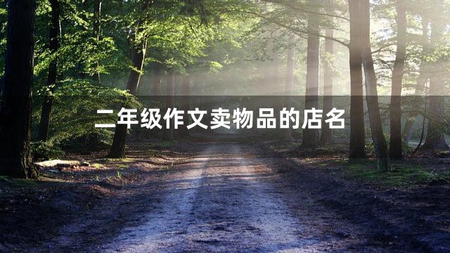 二年级作文卖物品的店名