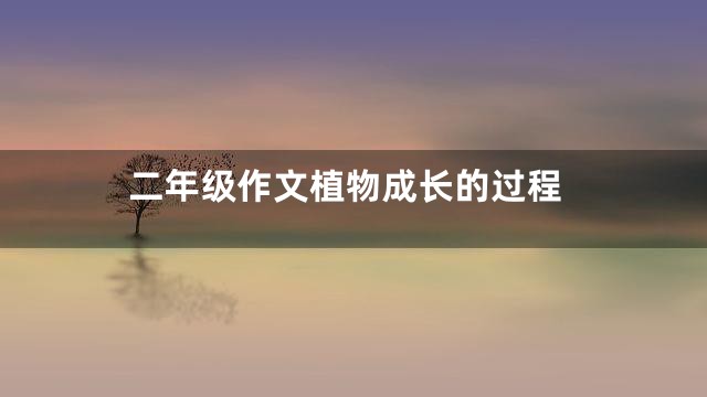 二年级作文植物成长的过程