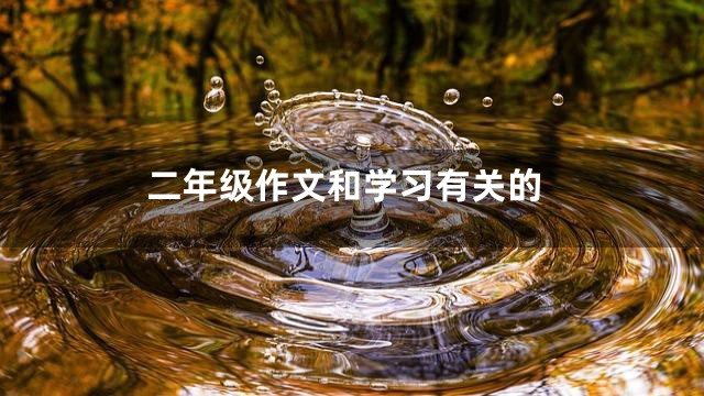 二年级作文和学习有关的