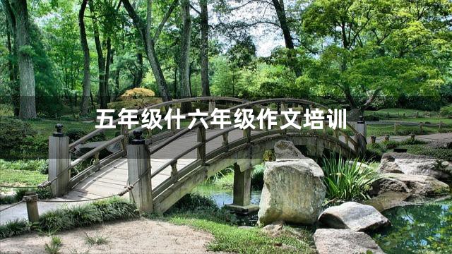 五年级什六年级作文培训