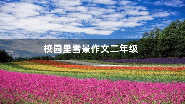校园里雪景作文二年级