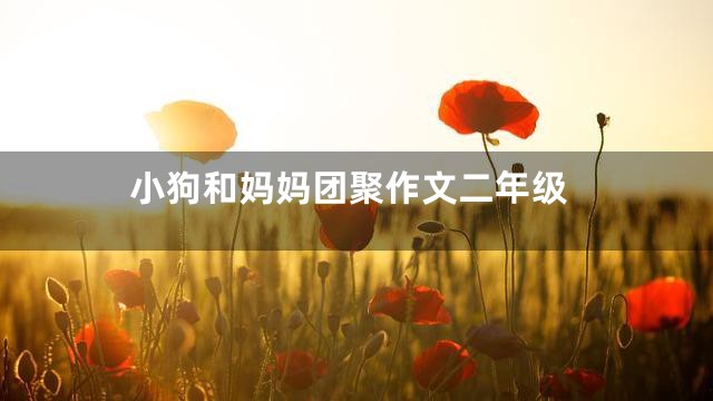 小狗和妈妈团聚作文二年级