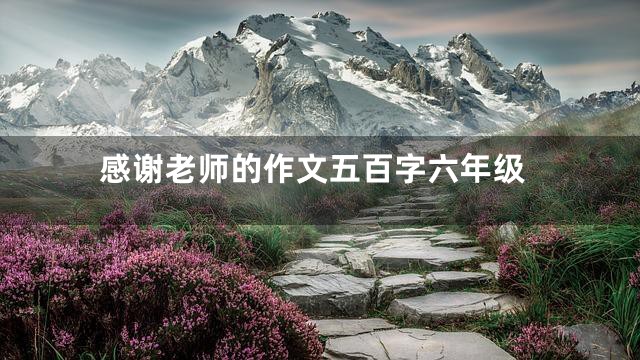 感谢老师的作文五百字六年级