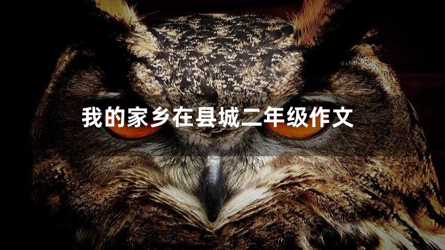 我的家乡在县城二年级作文