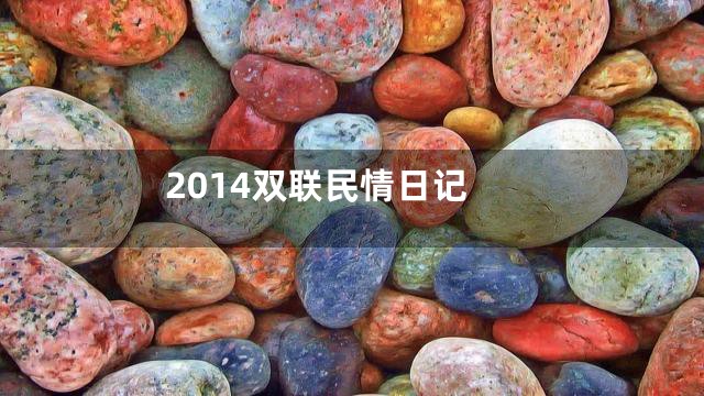 2014双联民情日记