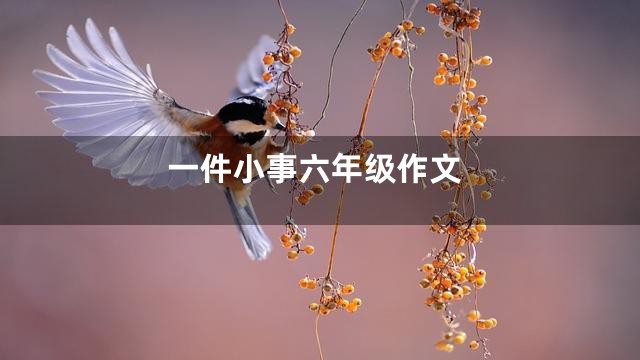 一件小事六年级作文