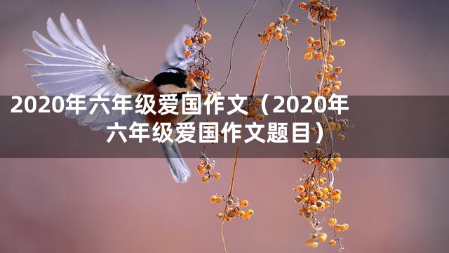 2020年六年级爱国作文（2020年六年级爱国作文题目）