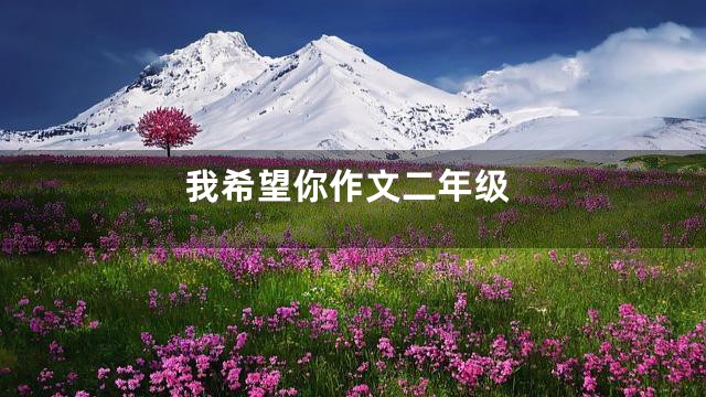 我希望你作文二年级