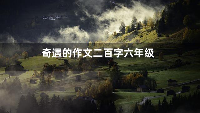 奇遇的作文二百字六年级