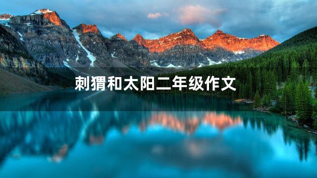 刺猬和太阳二年级作文