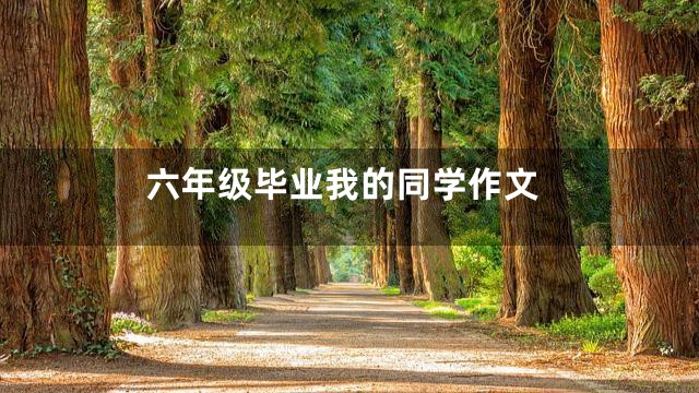 六年级毕业我的同学作文