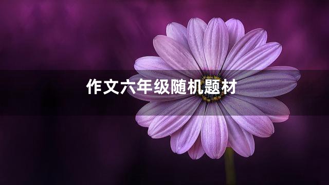 作文六年级随机题材