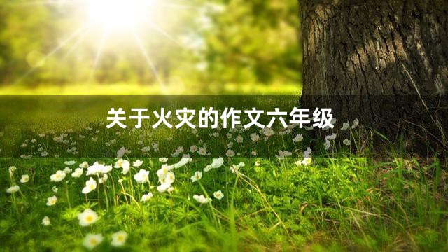 关于火灾的作文六年级