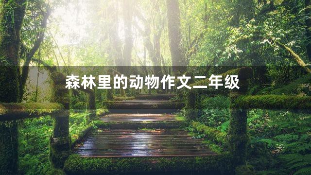 森林里的动物作文二年级