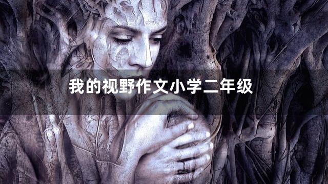 我的视野作文小学二年级
