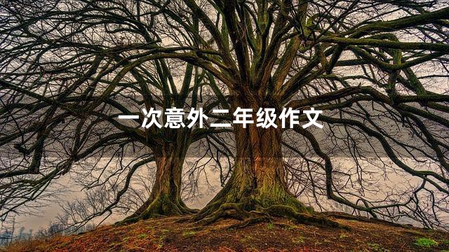 一次意外二年级作文