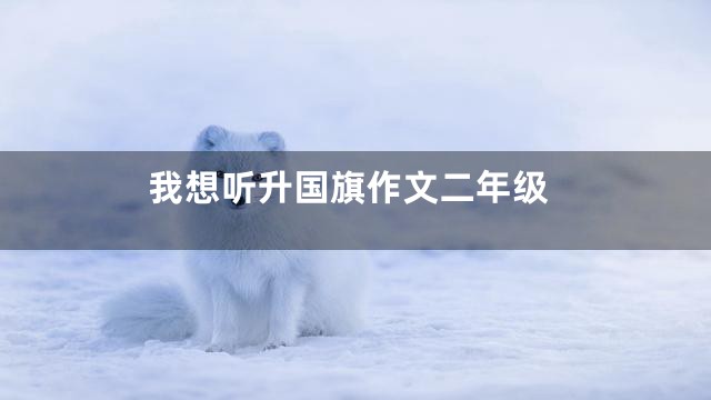 我想听升国旗作文二年级