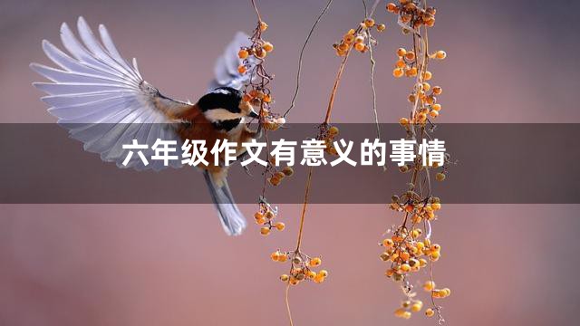 六年级作文有意义的事情