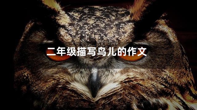 二年级描写鸟儿的作文