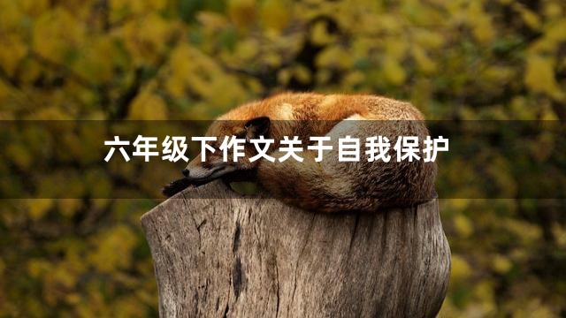 六年级下作文关于自我保护