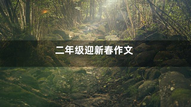 二年级迎新春作文