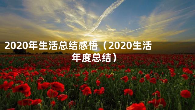 2020年生活总结感悟（2020生活年度总结）