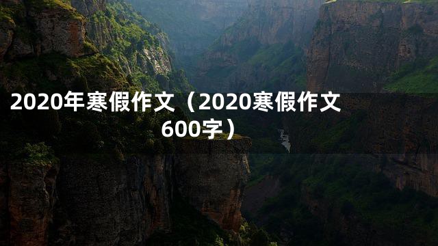 2020年寒假作文（2020寒假作文600字）