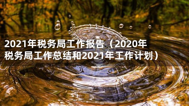 2021年税务局工作报告（2020年税务局工作总结和2021年工作计划）