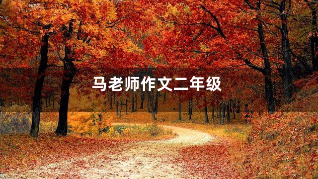 马老师作文二年级